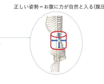 姿勢と腹圧