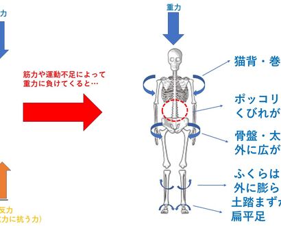 前額面　崩れ