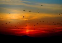 mountains-100367