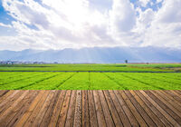 farmland