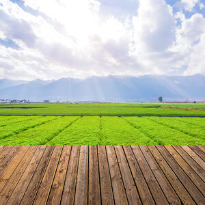 farmland